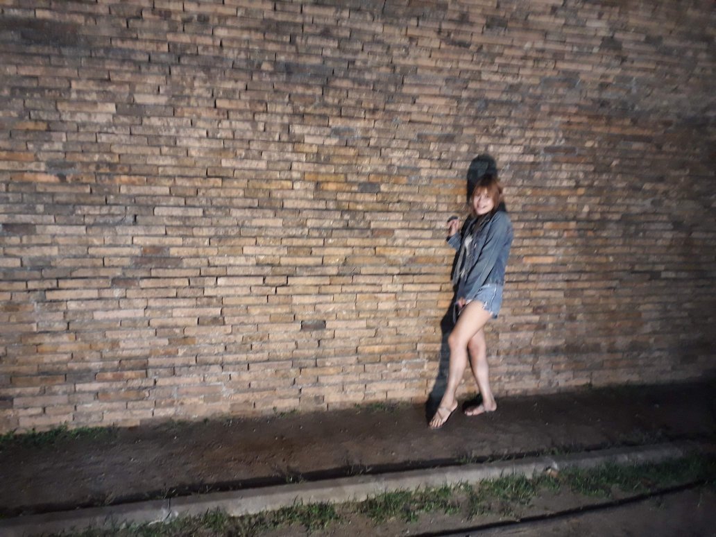 City Wall景点图片