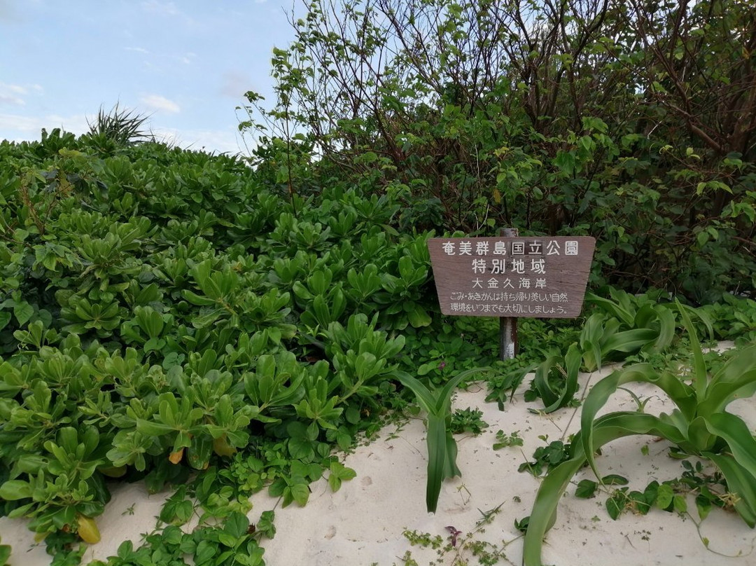 Okaneku Coast景点图片
