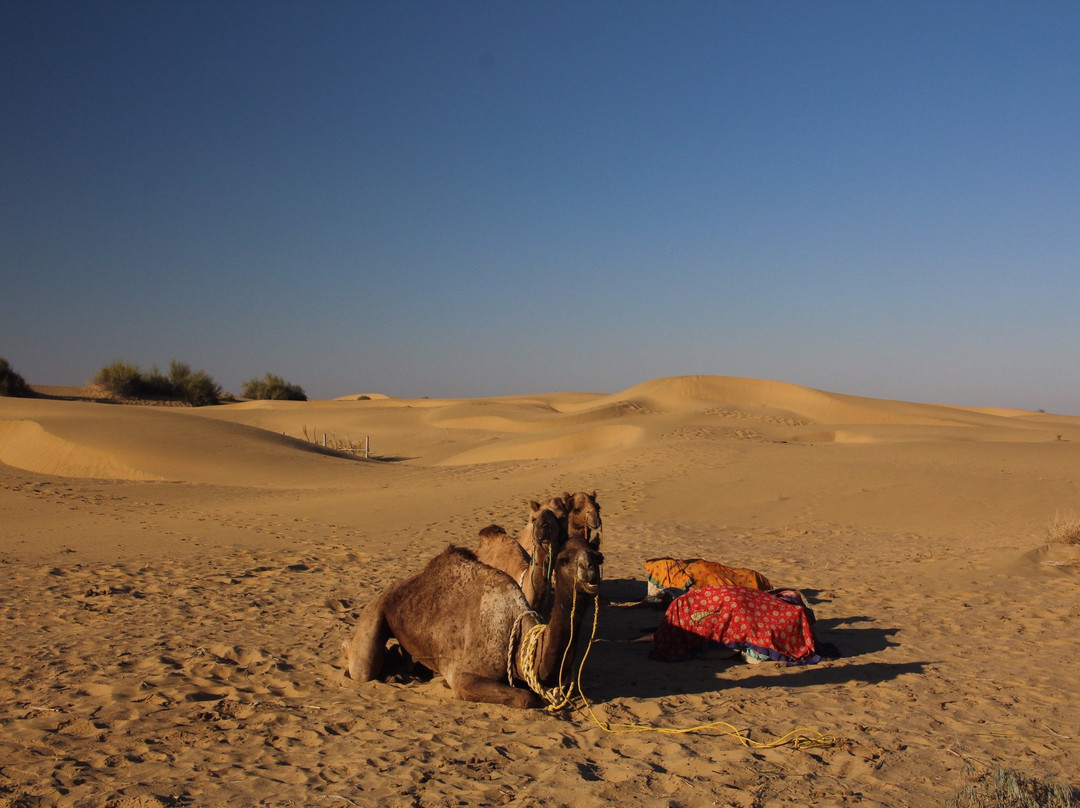 Wild Heritage Tours Jaisalmer景点图片