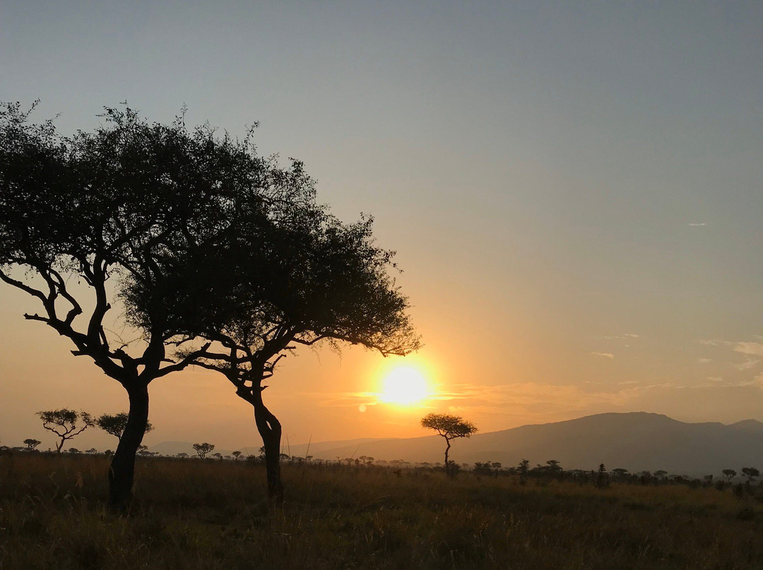 Ruma National Park-Homa Bay必去景点