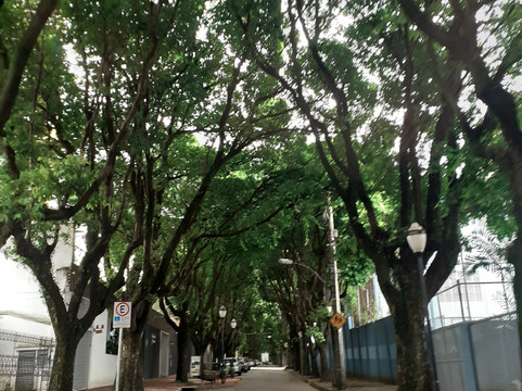 Rua 5-Araraquara必去景点