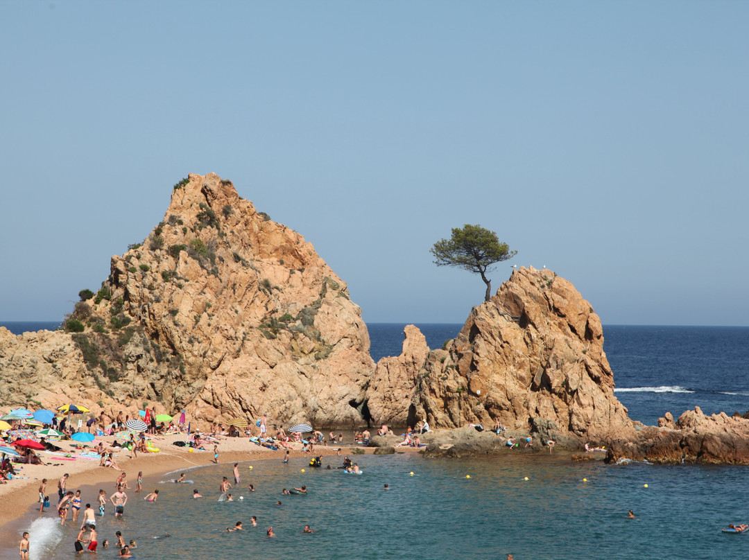 Platja De La Mar Menuda-多萨德马尔必去景点