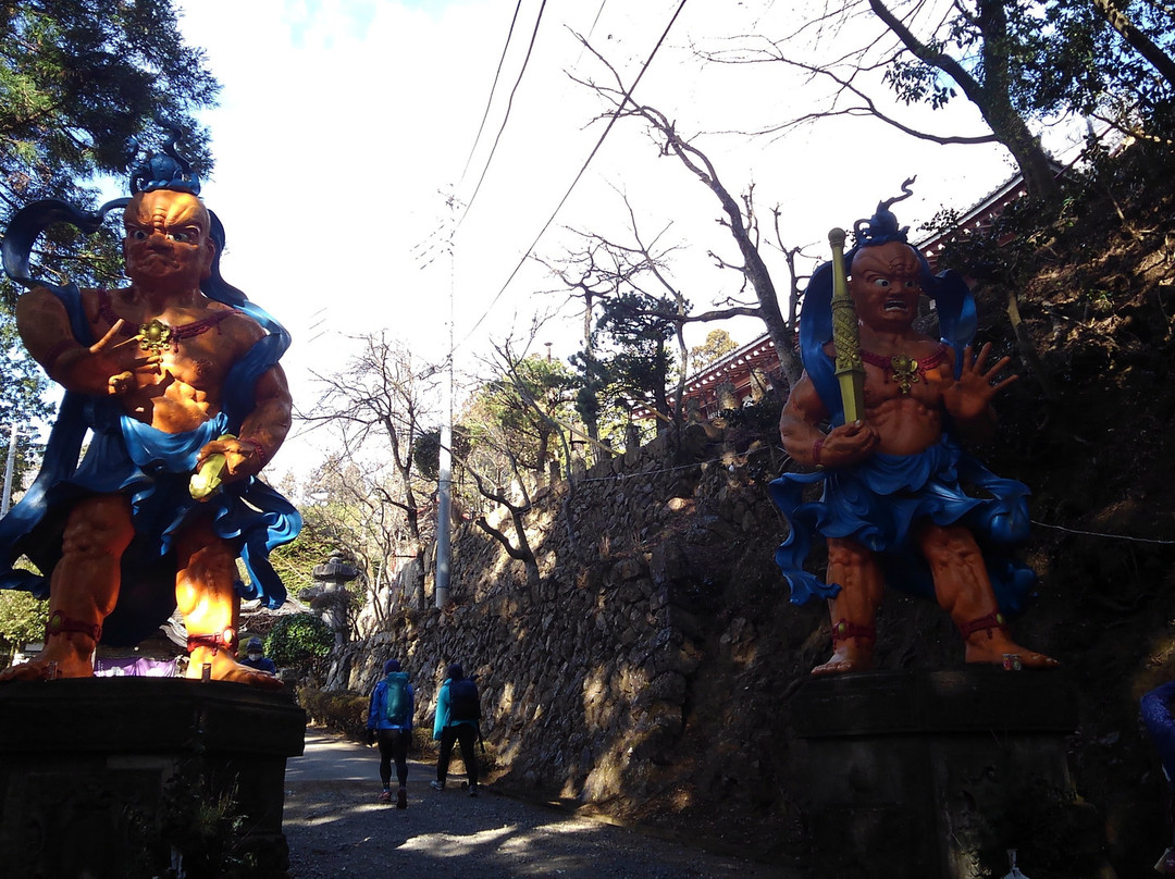 Tenryuji Temple-饭能市必去景点