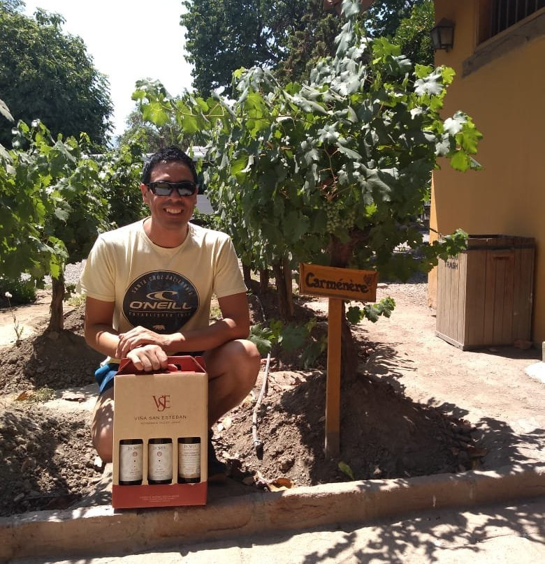 In Situ Family Vineyars-Los Andes必去景点