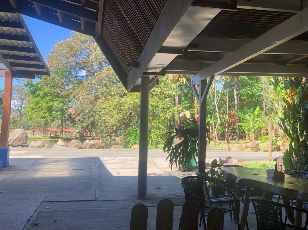 Sr. y Sra Ese Souvenir Store-阿拉辉拉必去景点