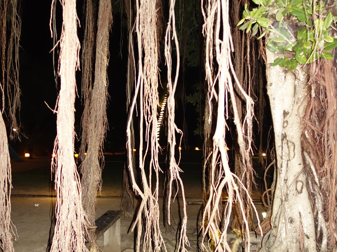 鸽子岛海滩度假村主图