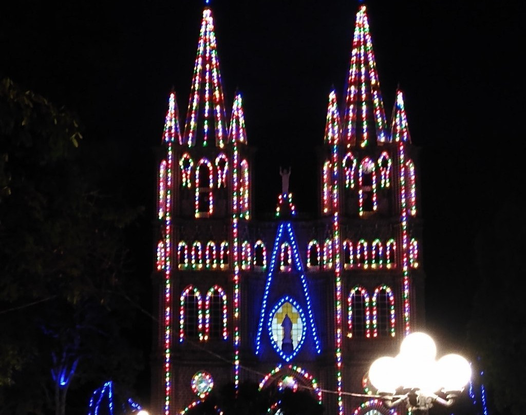 Basilica de la Inmaculada Concepcion-Jardin必去景点