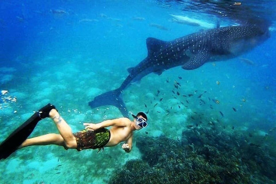 394DIVE-马丹岛必去景点