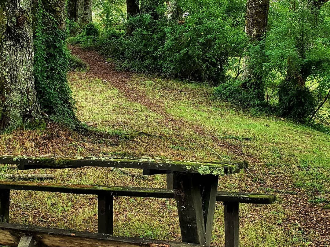 Meular Chiloe B&B Hotel主图