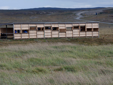 TodoPatagonia-蓬塔阿雷纳斯必去景点