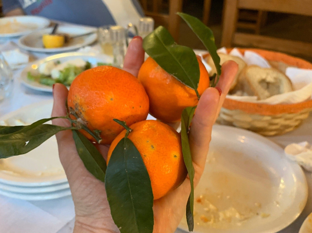 Karpouzis Guesthouse主图