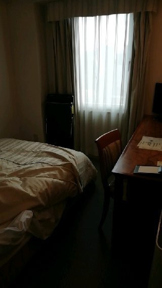 Iwakuni City View Hotel主图
