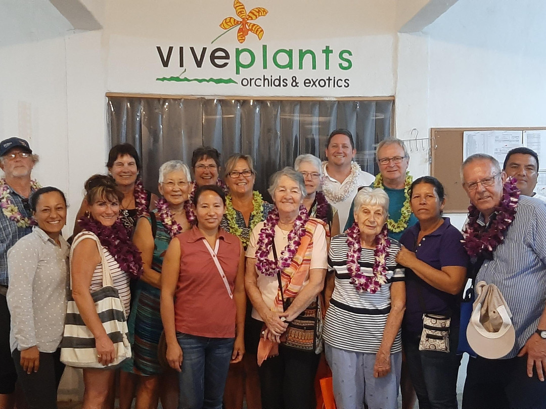 Flip Flop Nomad Tours-Melaque必去景点