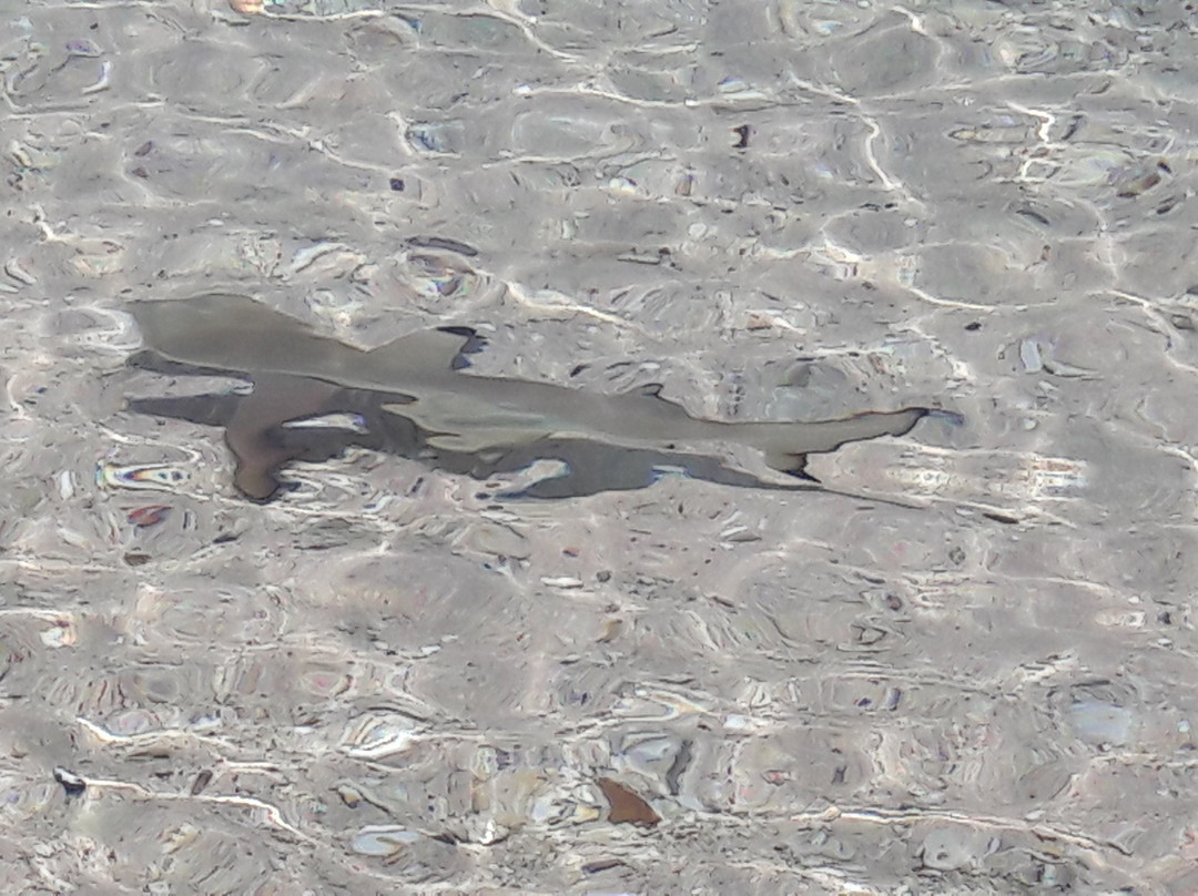 天使岛度假村主图