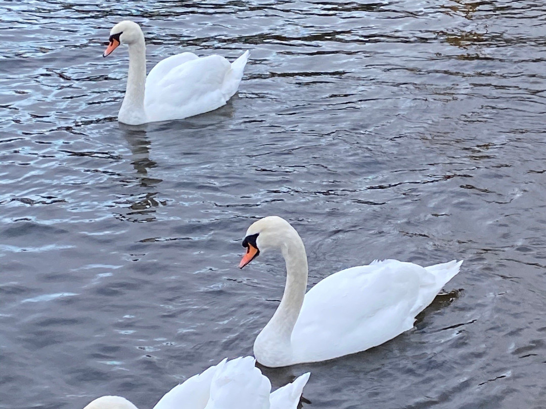 Antrim Lough Shore Park景点图片