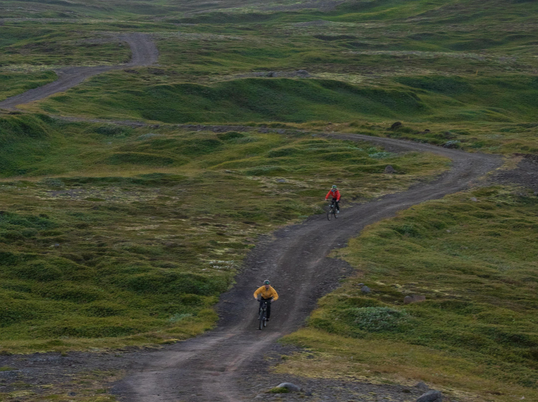 Fjord Bikes景点图片