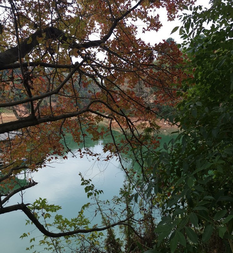 龙凤岛-东源县必去景点