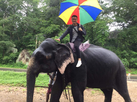 Sri Lankan Nisha Tours-蒂瑟默哈拉默必去景点