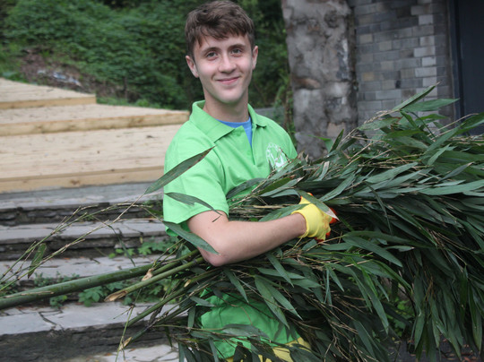 panda volunteering  and photo taking-都江堰市必去景点