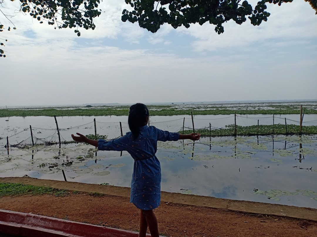 Coconut Lagoon, CGH Earth主图