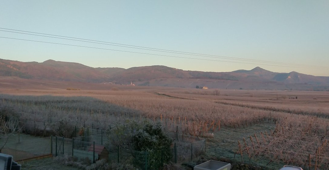 Gîtes au Domaine Greiner
