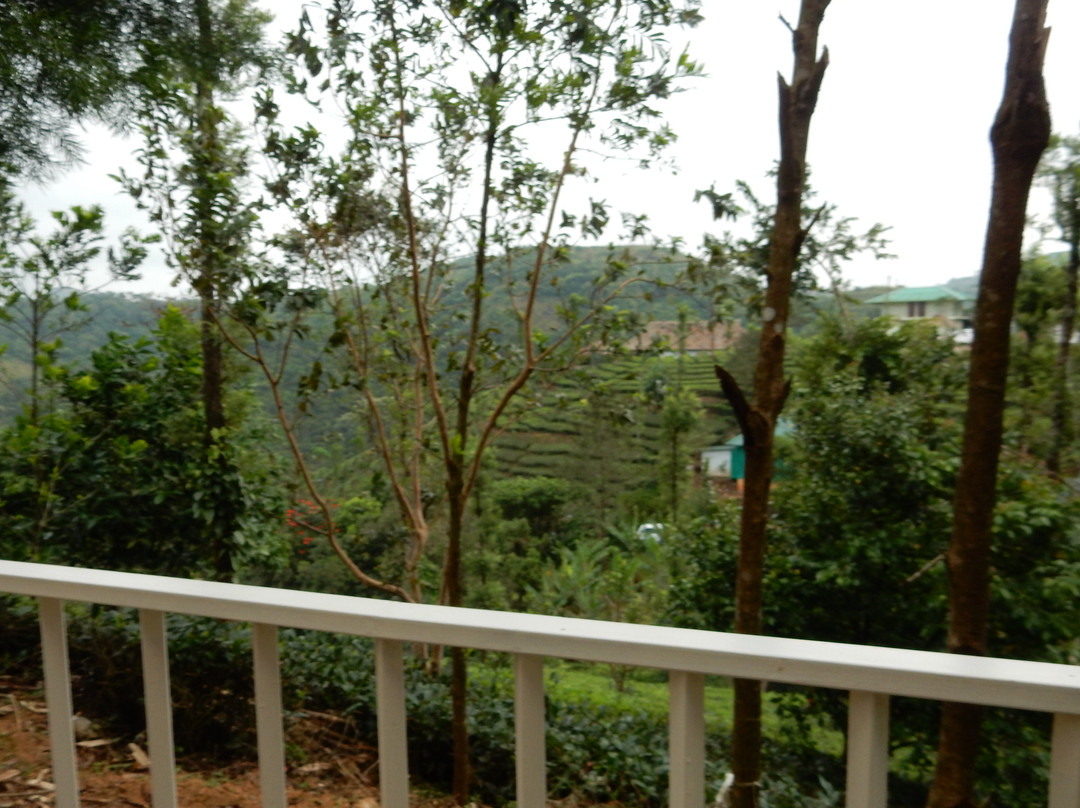 Winter Vale Green Stay主图