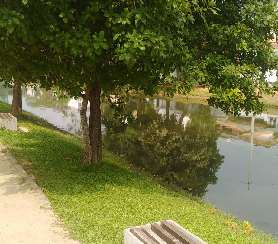 Urban Wetland Park景点图片