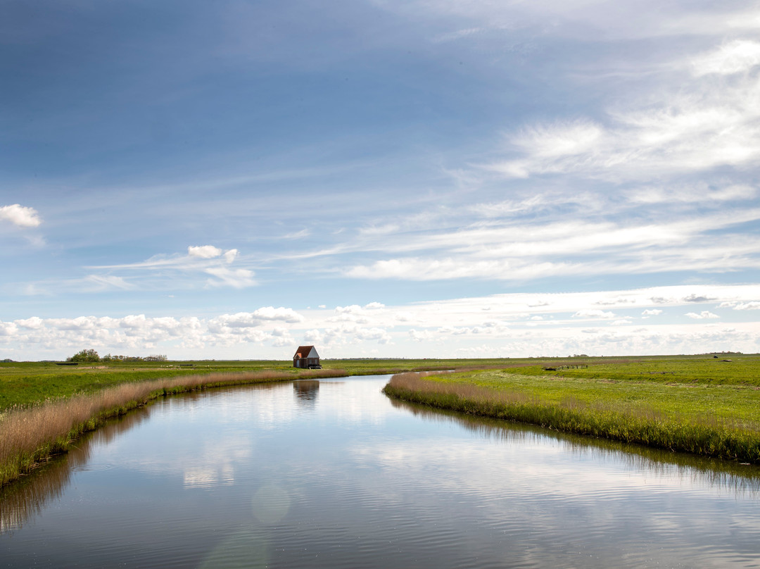 The Marsh Trail景点图片