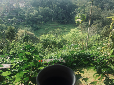 Bali Esa Driver-库塔必去景点