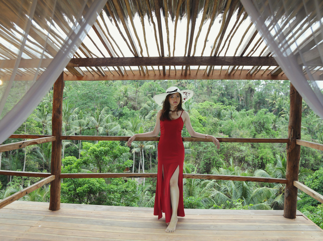 Picheaven Bali Swing-乌布必去景点