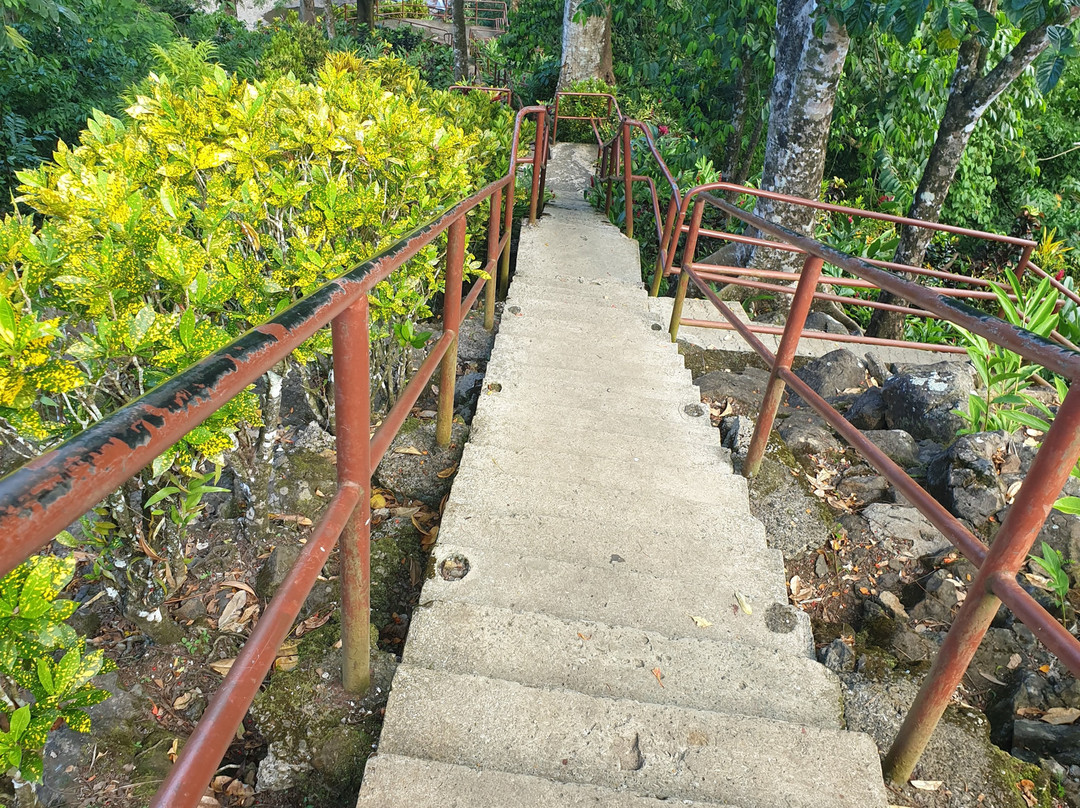 Papaseea Sliding Rock-阿皮亚必去景点