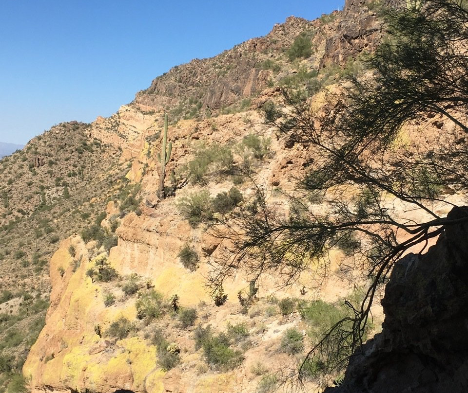 Usery Mountain Regional Park景点图片