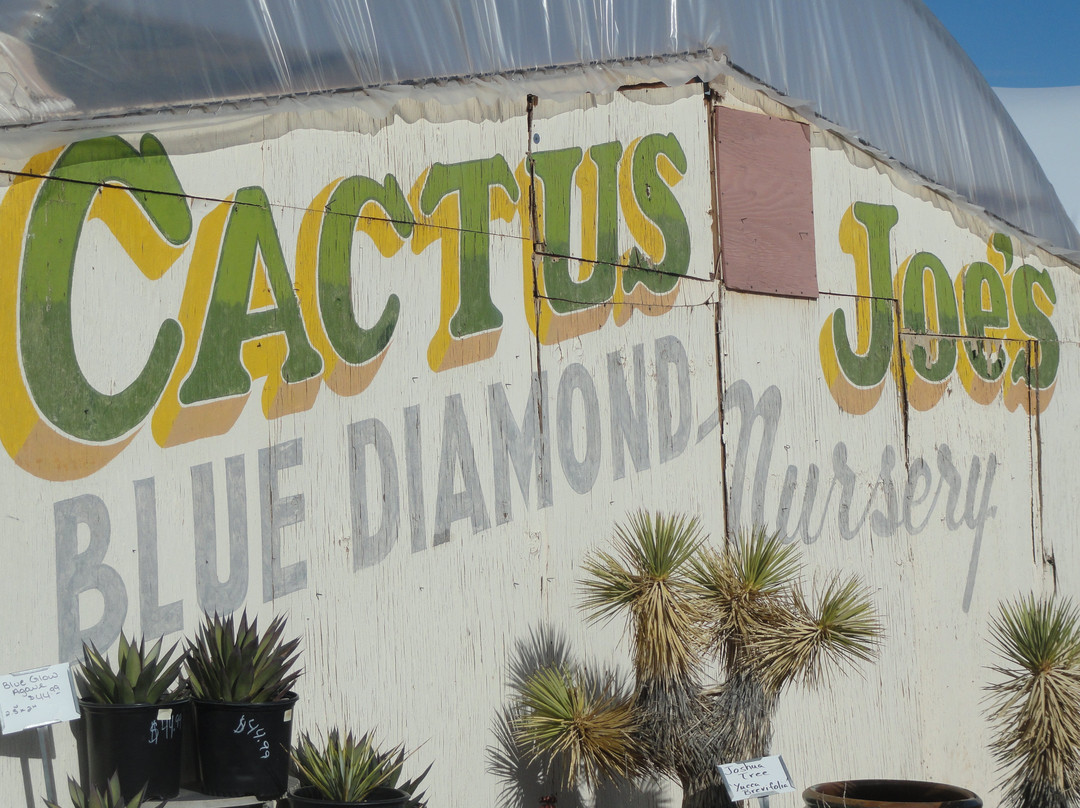 Cactus Joe's Blue Diamond Nursery景点图片