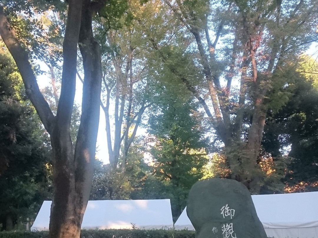 Jingu Gaien Ginkgo Tree-lined Street-港区必去景点