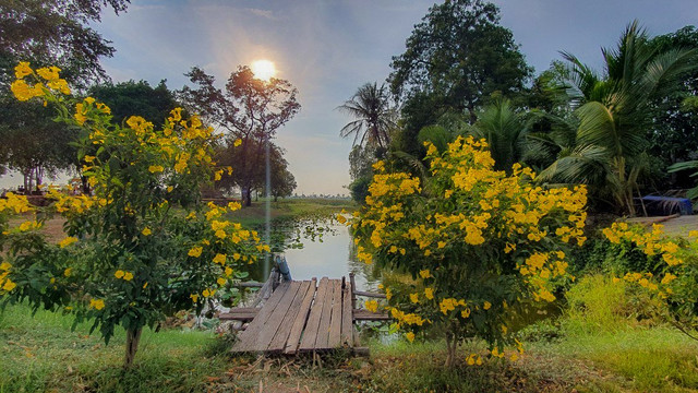 Wat Phra Ngam-大城必去景点