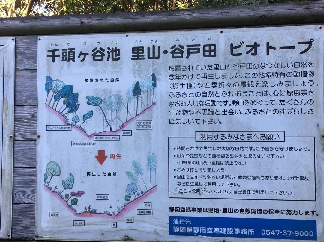 Senzugaya Pond-牧之原市必去景点