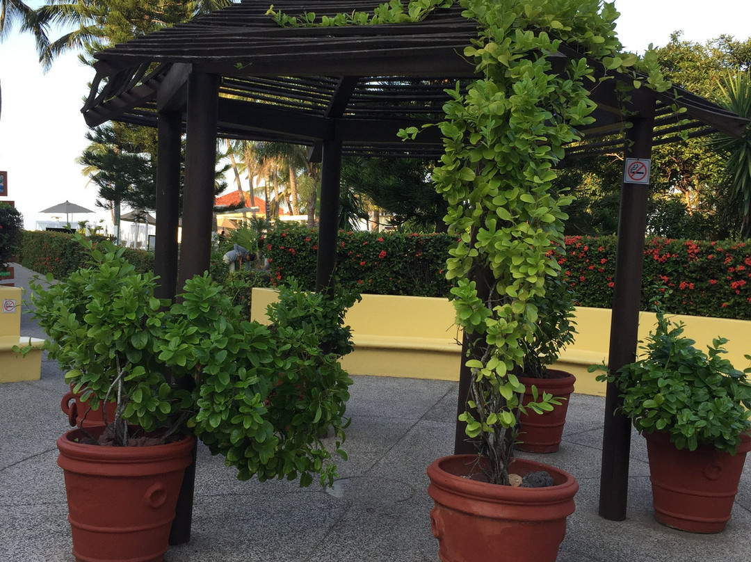 Samba Vallarta All Inclusive主图