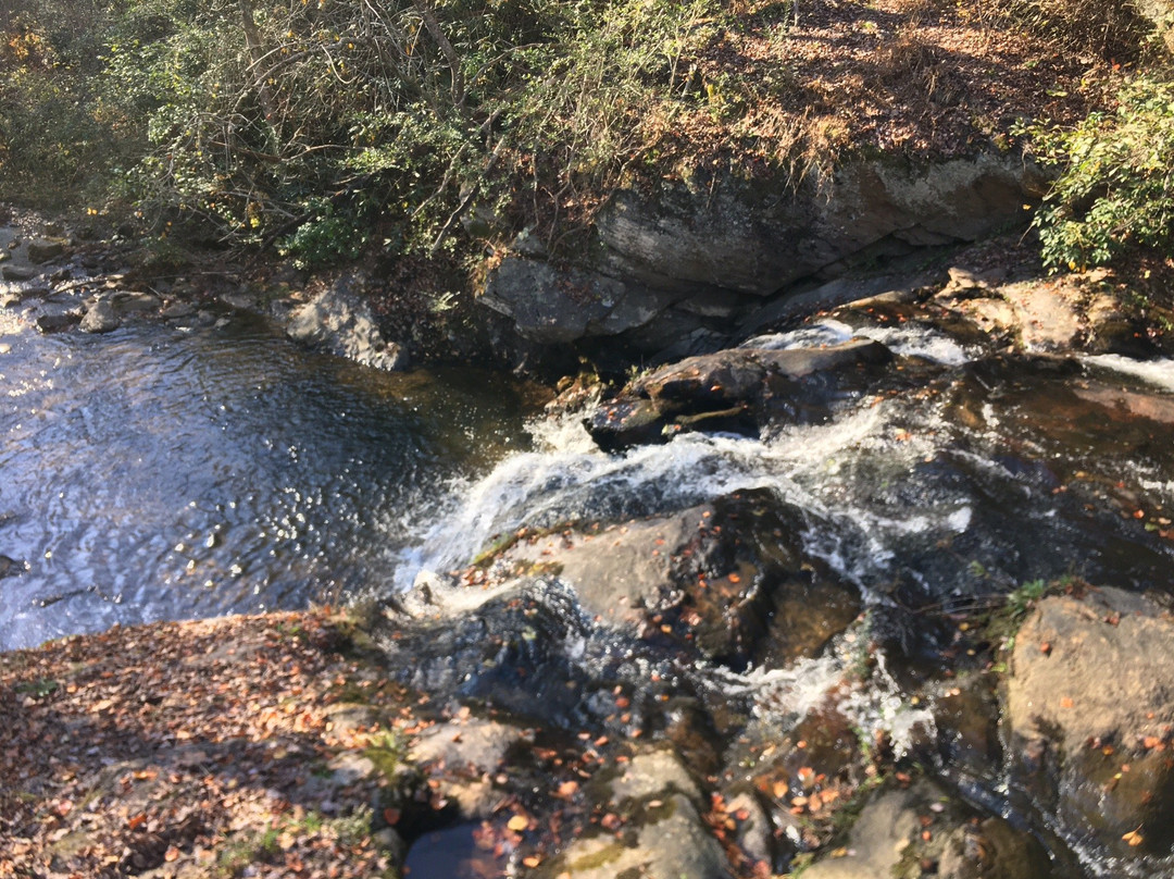 Cupid Fall Park-Young Harris必去景点