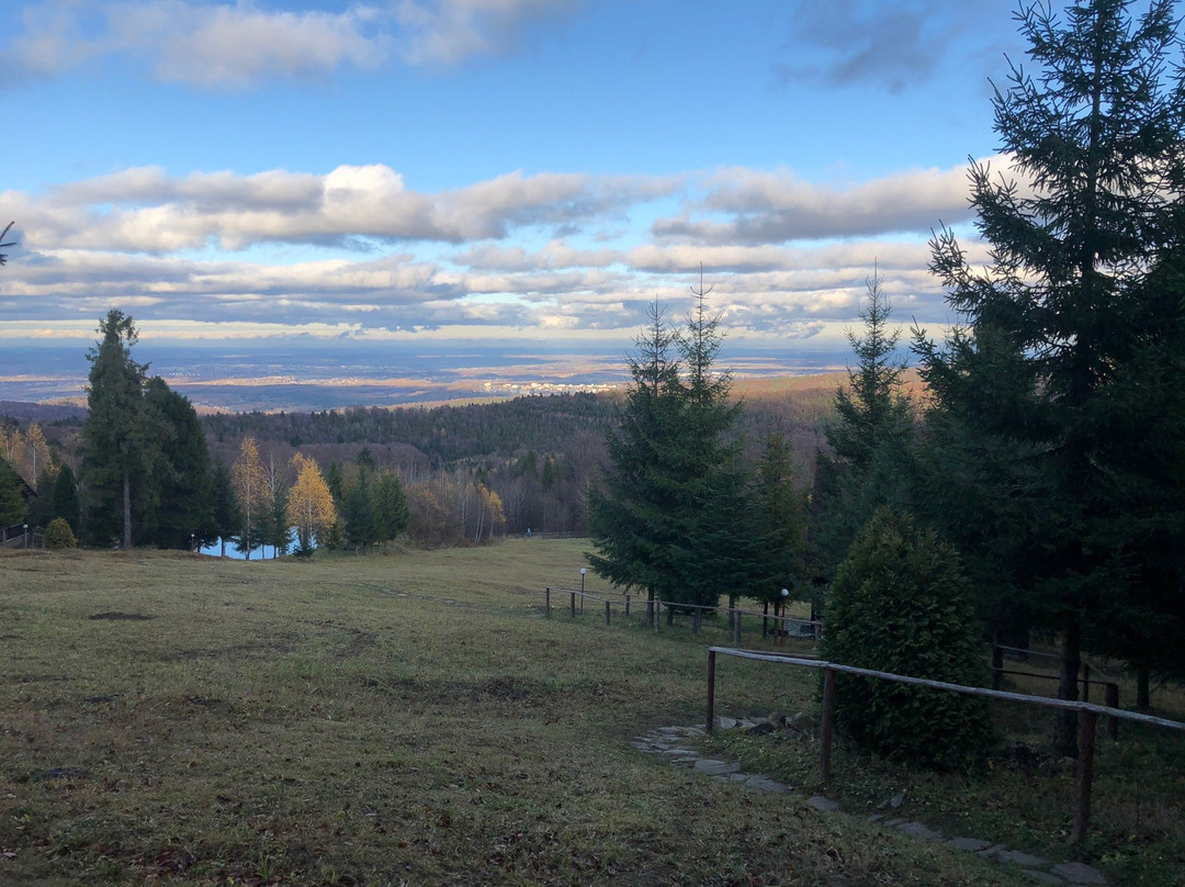 Carpathian Meadows (Karpats'ki Polonyny) Hotel主图