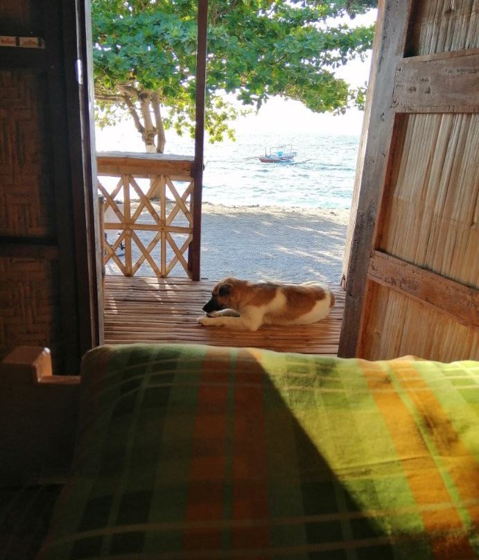 Beach Resort Maripipi主图