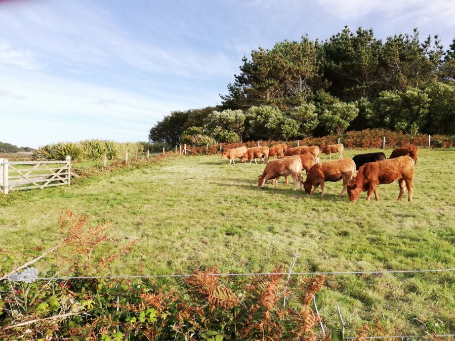 Cromwell's Castle-Tresco必去景点