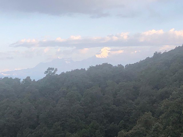 Binsar Forest Retreat-酒店景观