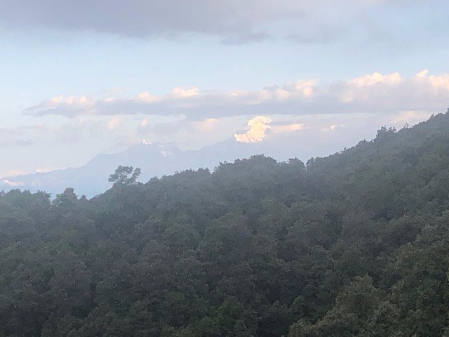 Binsar Forest Retreat主图