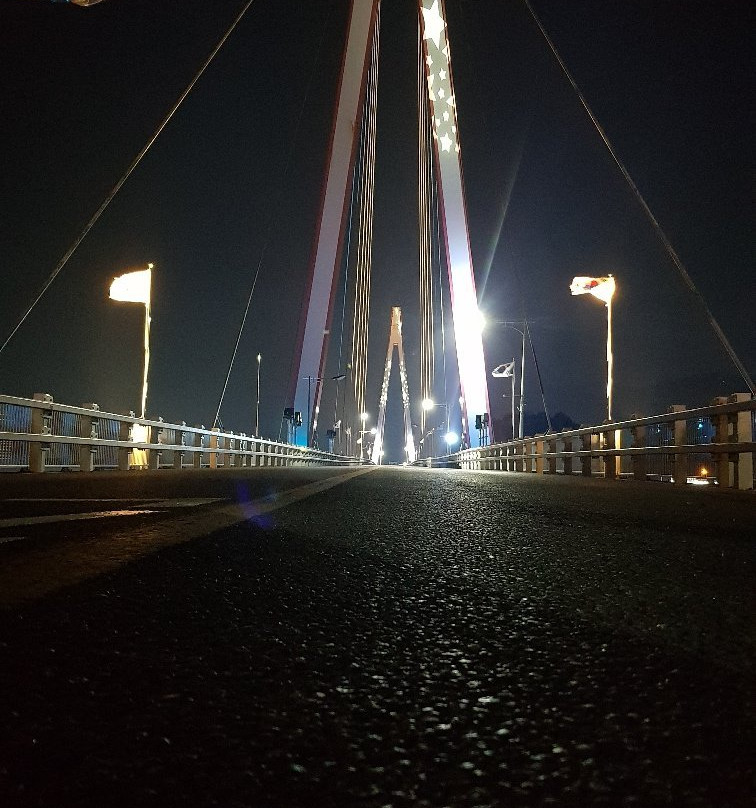 Dolsan Bridge-丽水市必去景点