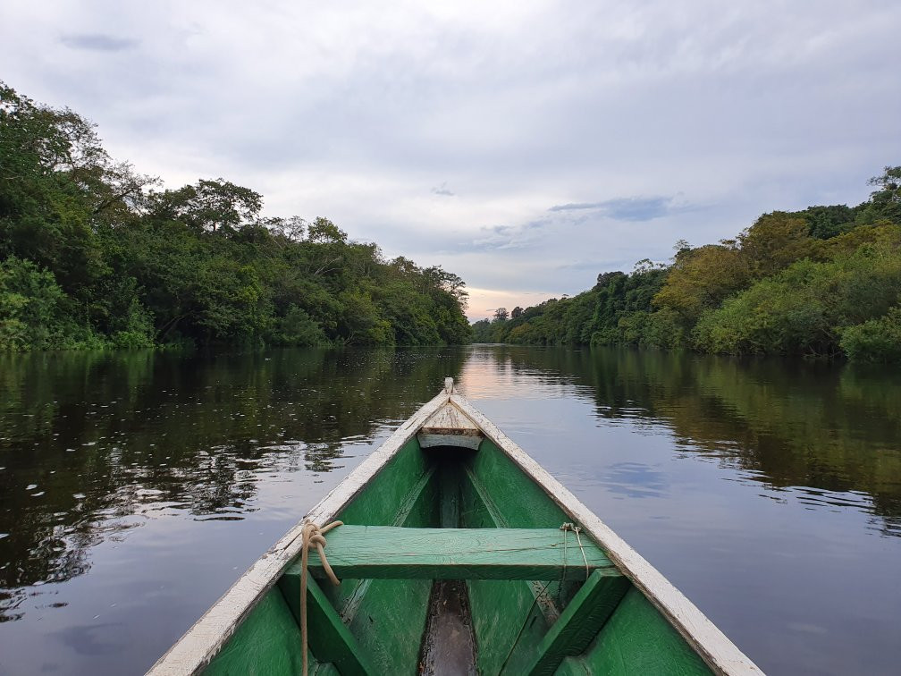 Naineku Amazon Trip Puerto Nariño景点图片