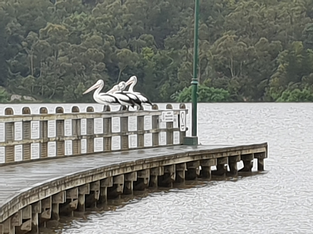 Lake Narracan景点图片