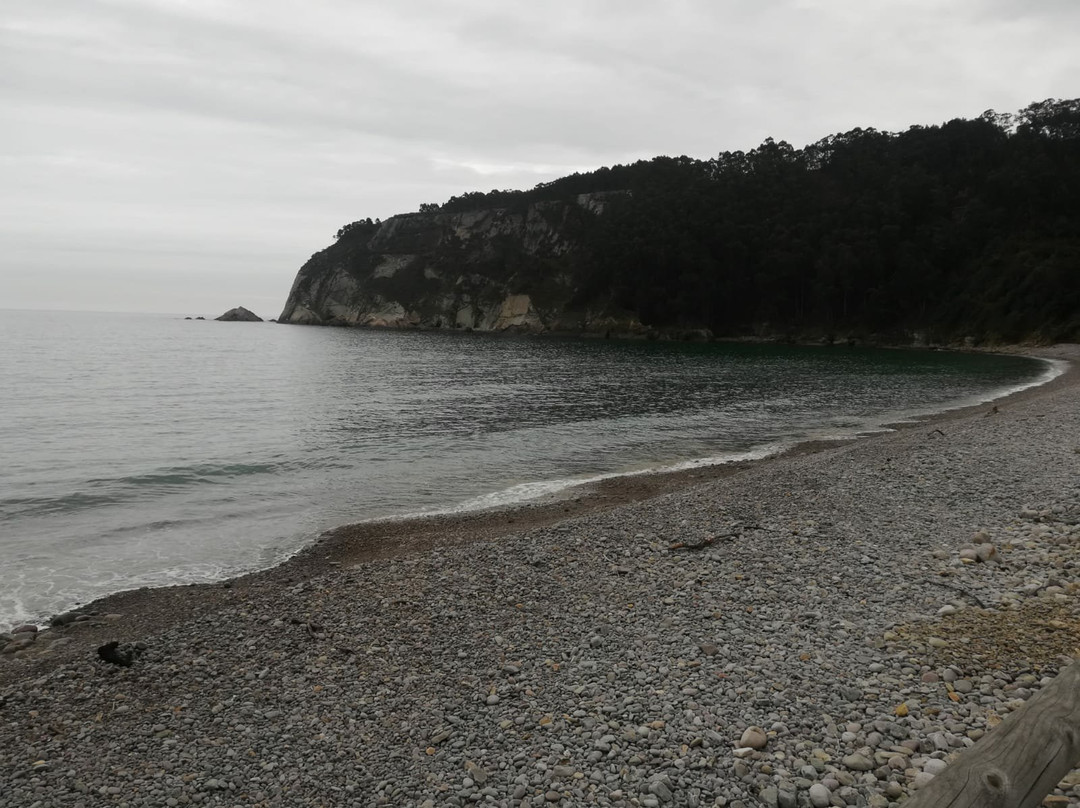 Playa Concha de Artedo-库迪列罗必去景点