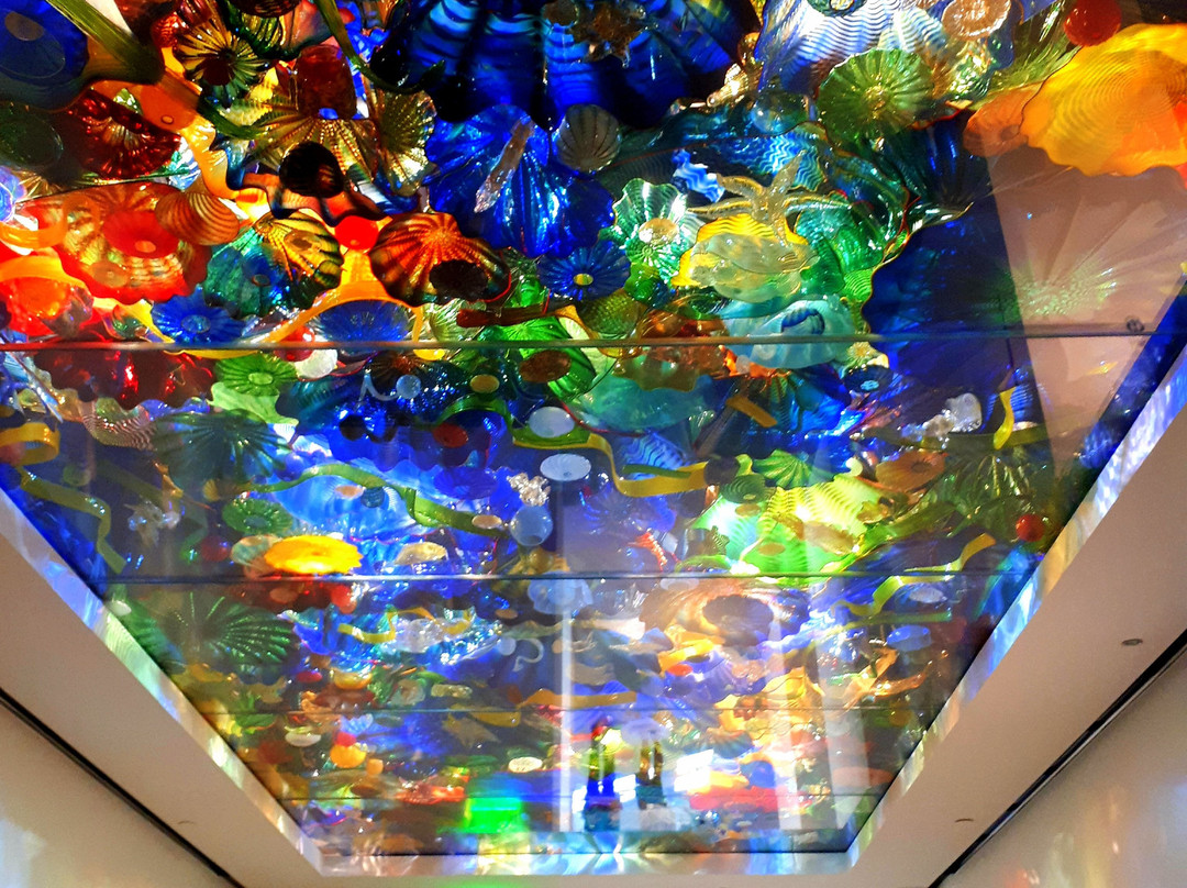 Norton Museum of Art景点图片