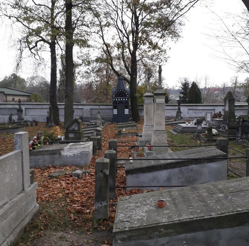 Stary Cmentarz景点图片