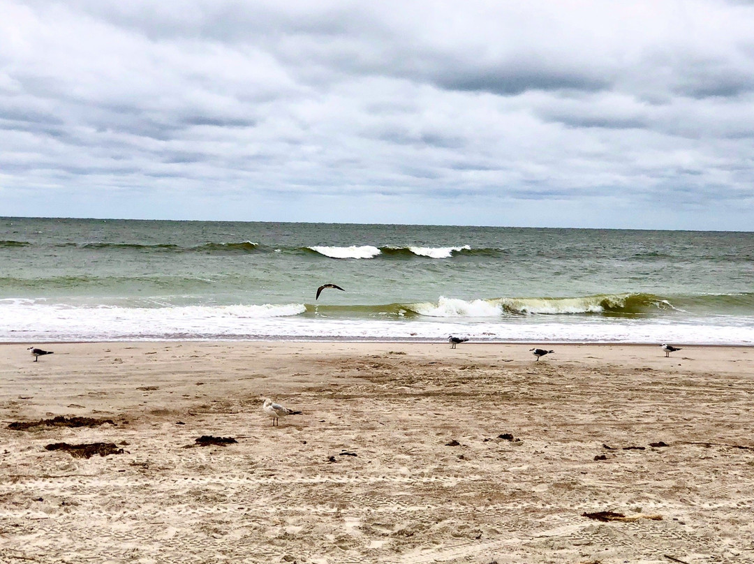 Seaside Park-阿米莉亚岛必去景点